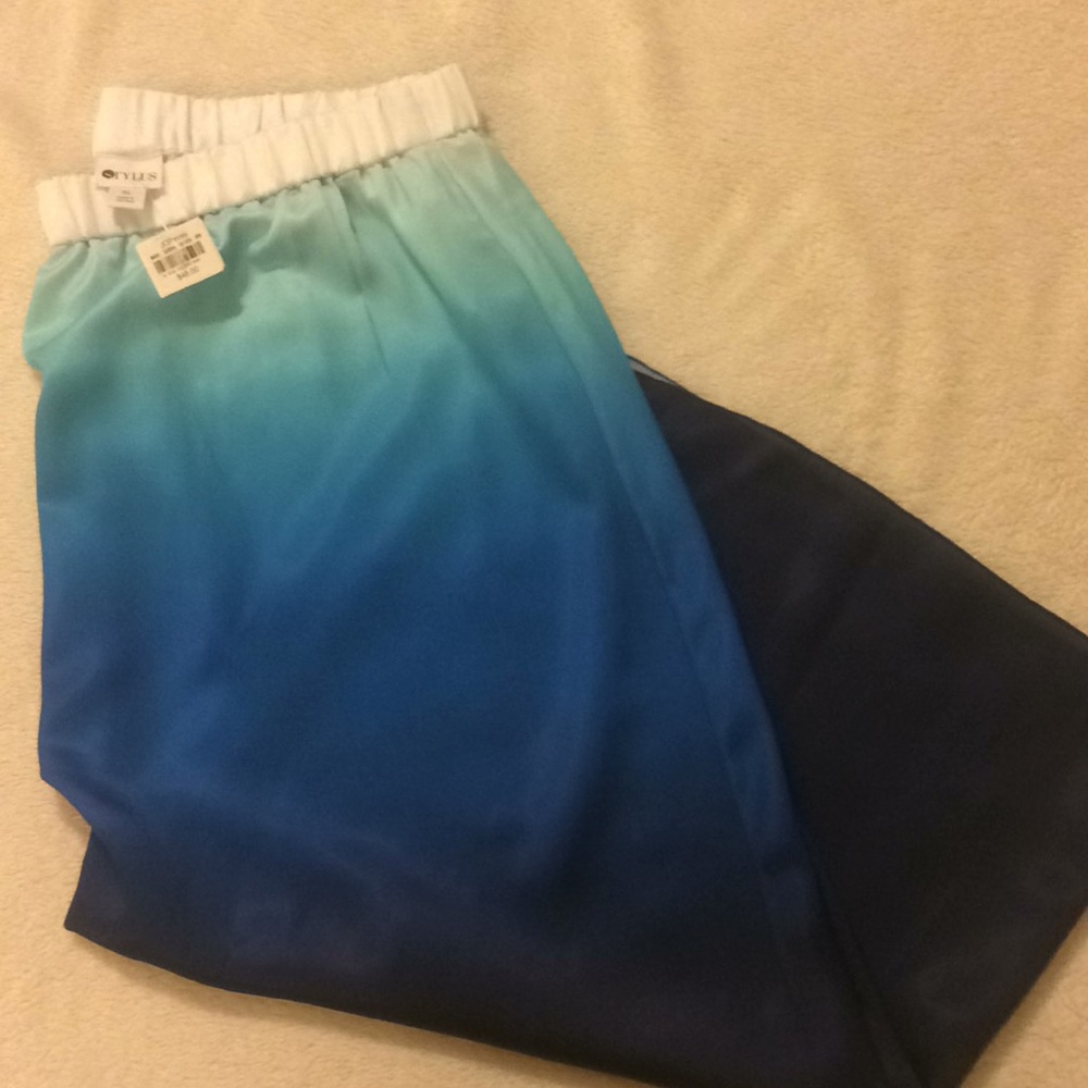 NWT Stylus Skirt XL Ombré